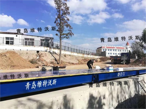 自動騎車衡過磅 自動騎車衡過磅