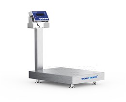 不銹鋼臺秤 不銹鋼臺秤