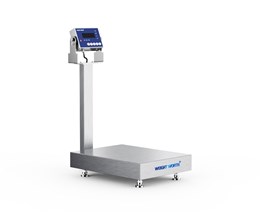 不銹鋼臺(tái)秤 不銹鋼臺(tái)秤