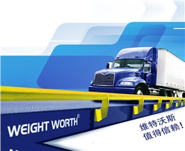 維特沃斯數字汽車衡 維特沃斯數字汽車衡
